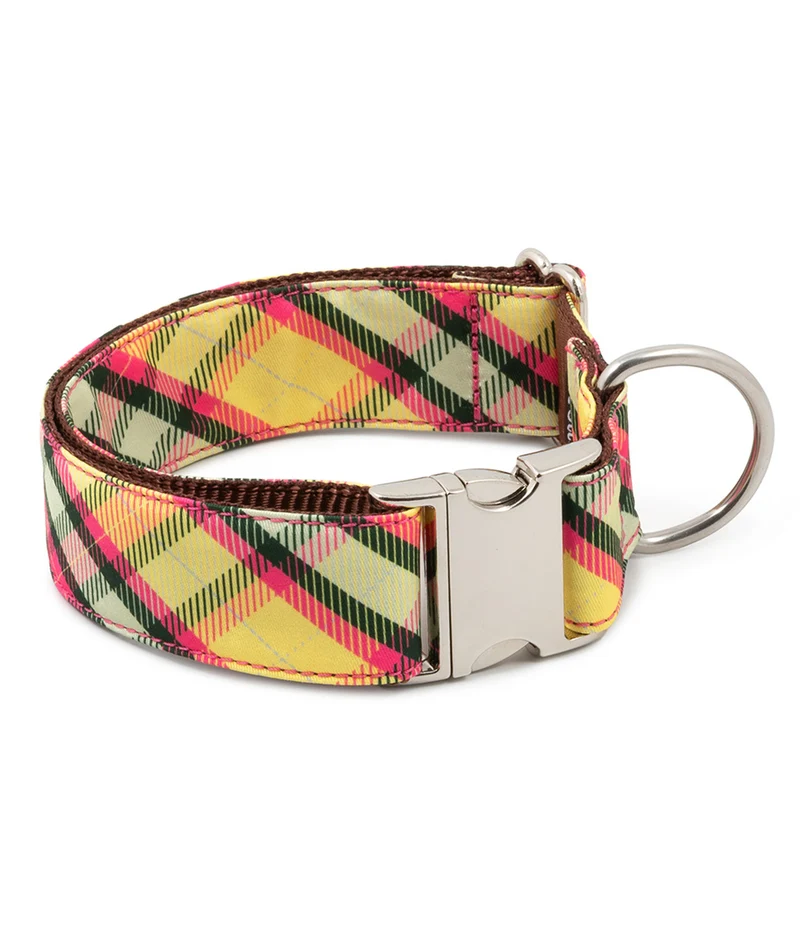 Collar para perro Textura Mollet