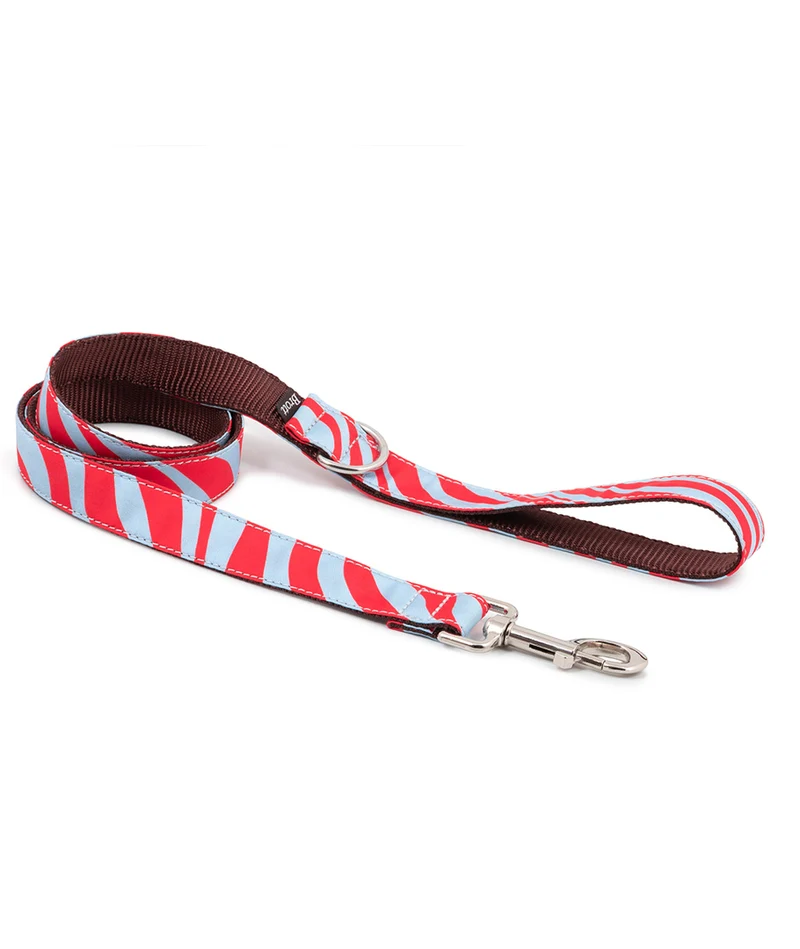 Correa para perro Malniu