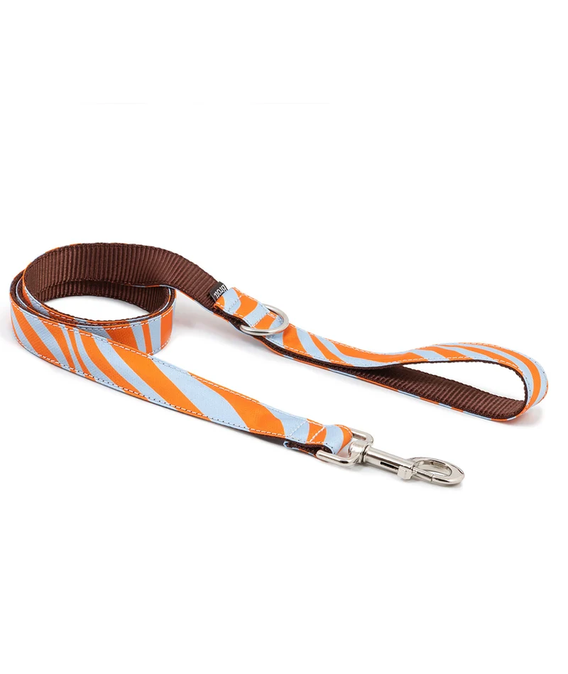 Correa para perro Arbeca