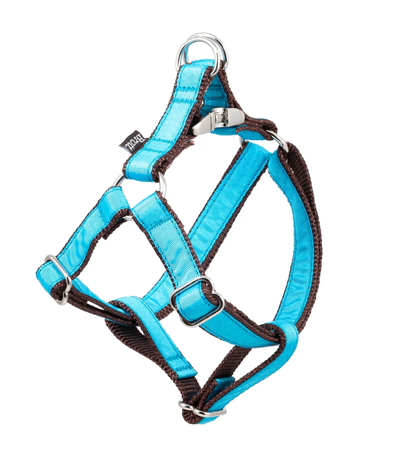 Arnés petral para perro Solid Turquoise
