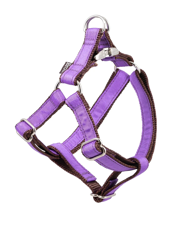 Arnés petral para perro Solid Purple
