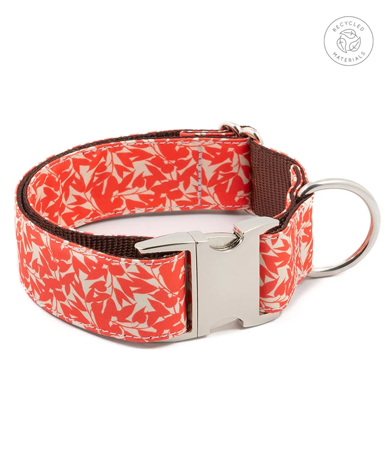 Collar para perro Borges
