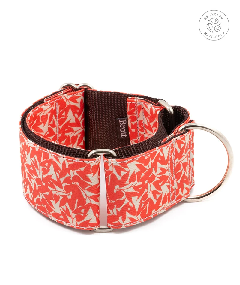 Collar para Galgo Borges