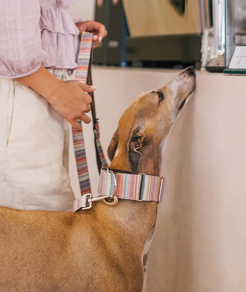 Collar para Galgo Llavaneres