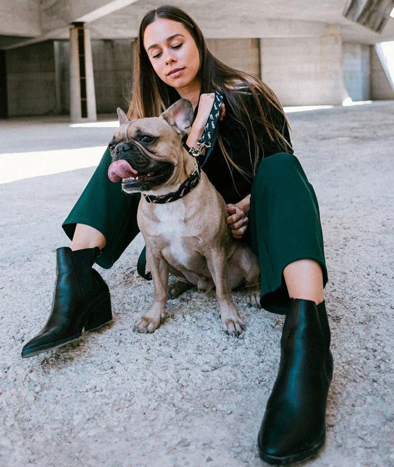 Correa para perro Brugues