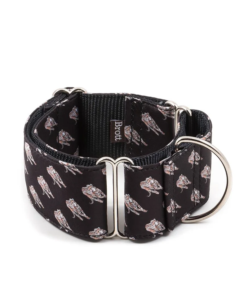 Collar para Galgo Brugues