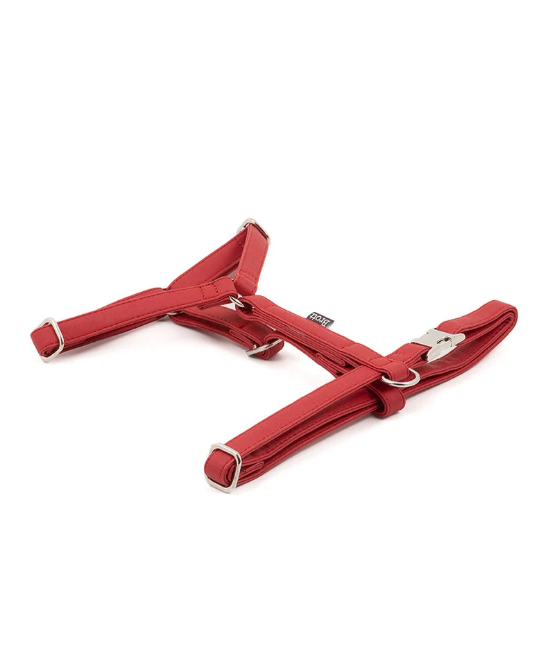 Arnés perro Essence Red silver