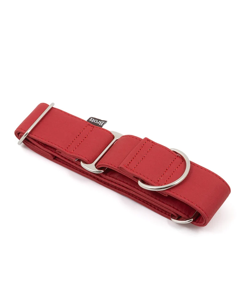 Collar Galgo Essence Red silver