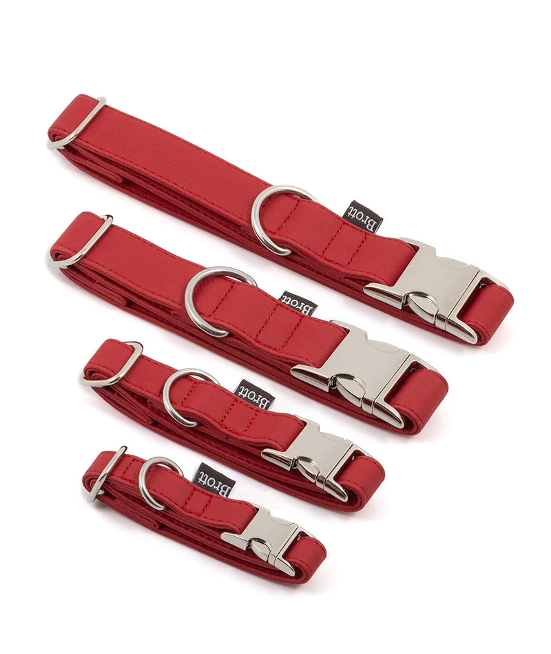 Collar perro Essence Red silver