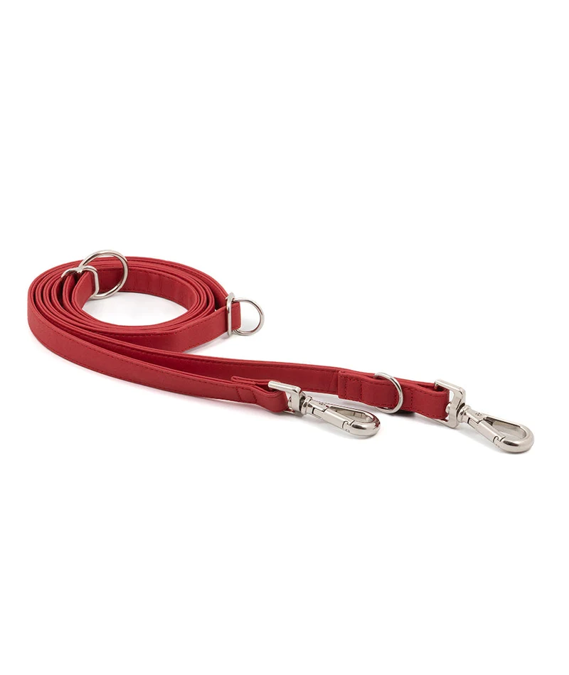 Correa perro Essence Red silver