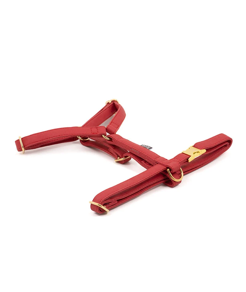 Arnés perro Essence Red gold