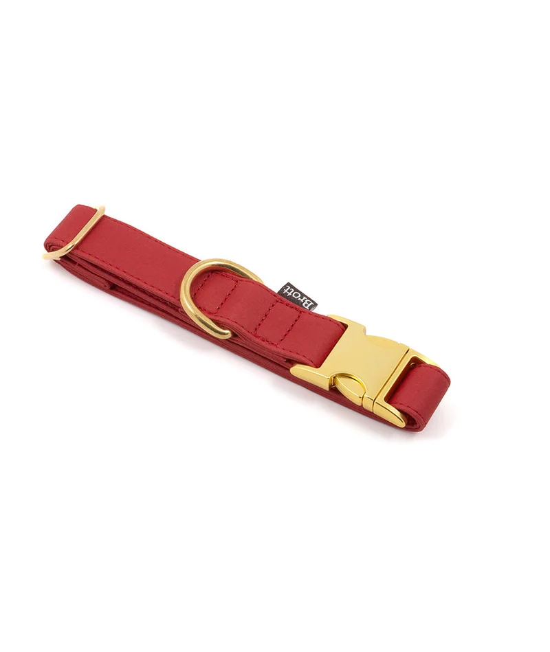 Collar perro Essence Red gold