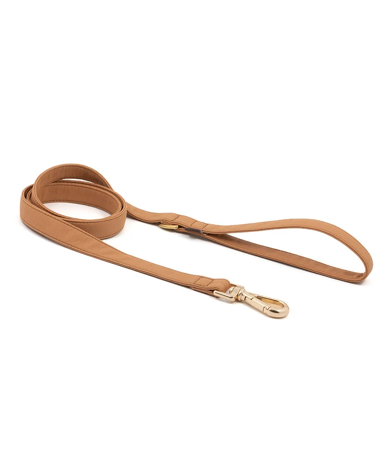 Correa perro Essence Camel gold