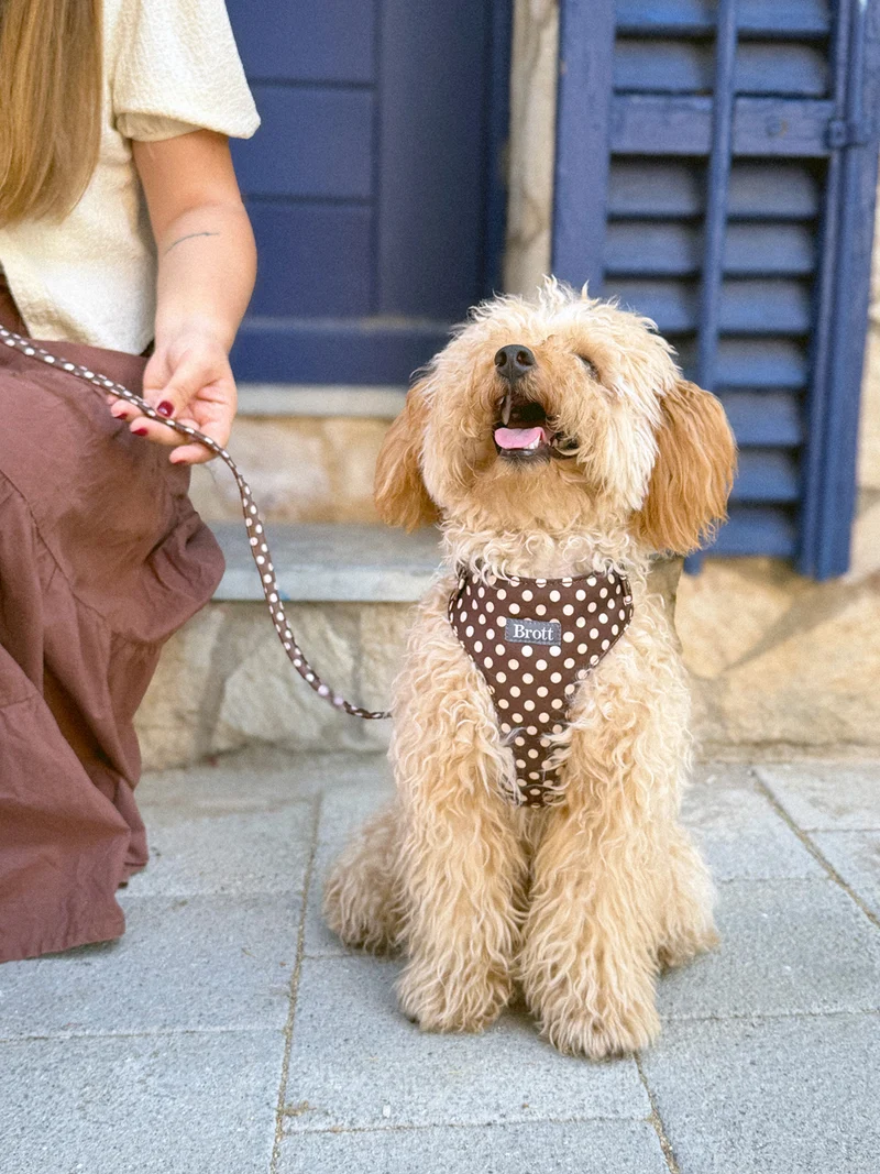 Arnés Soft Body para perro Garbet