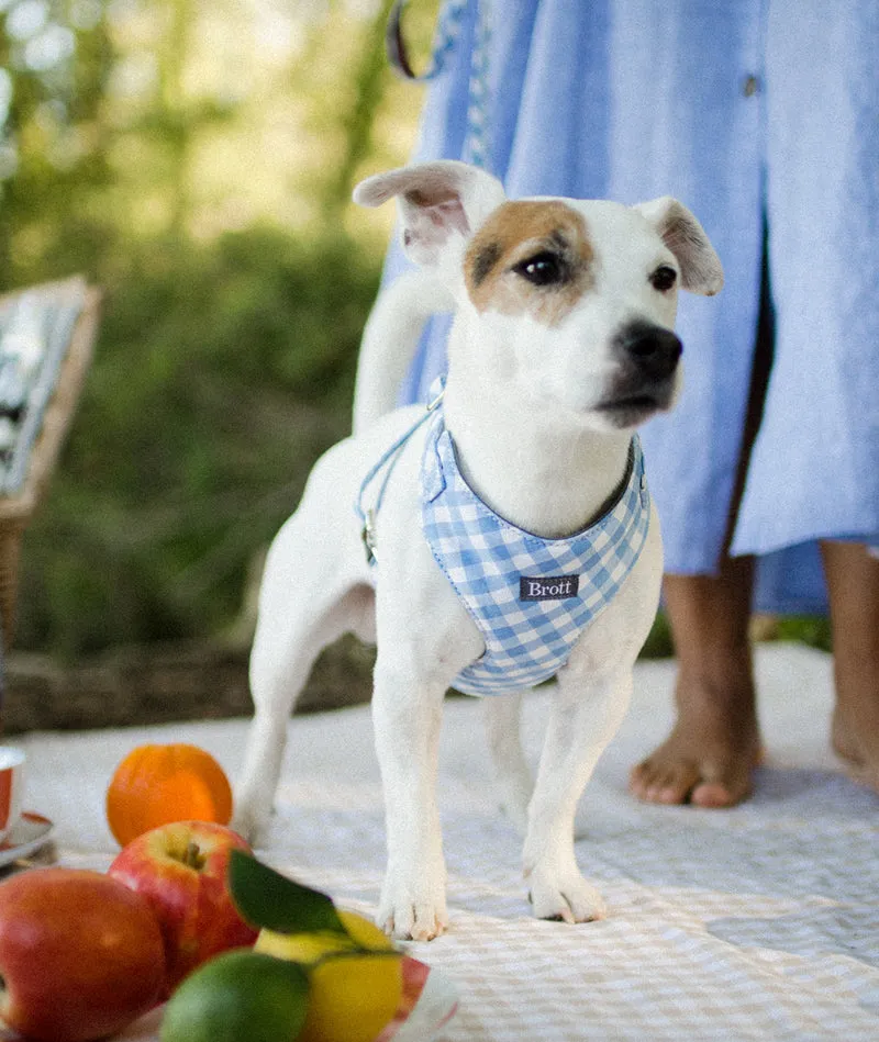 Arnés Soft Body para perro Llafranc