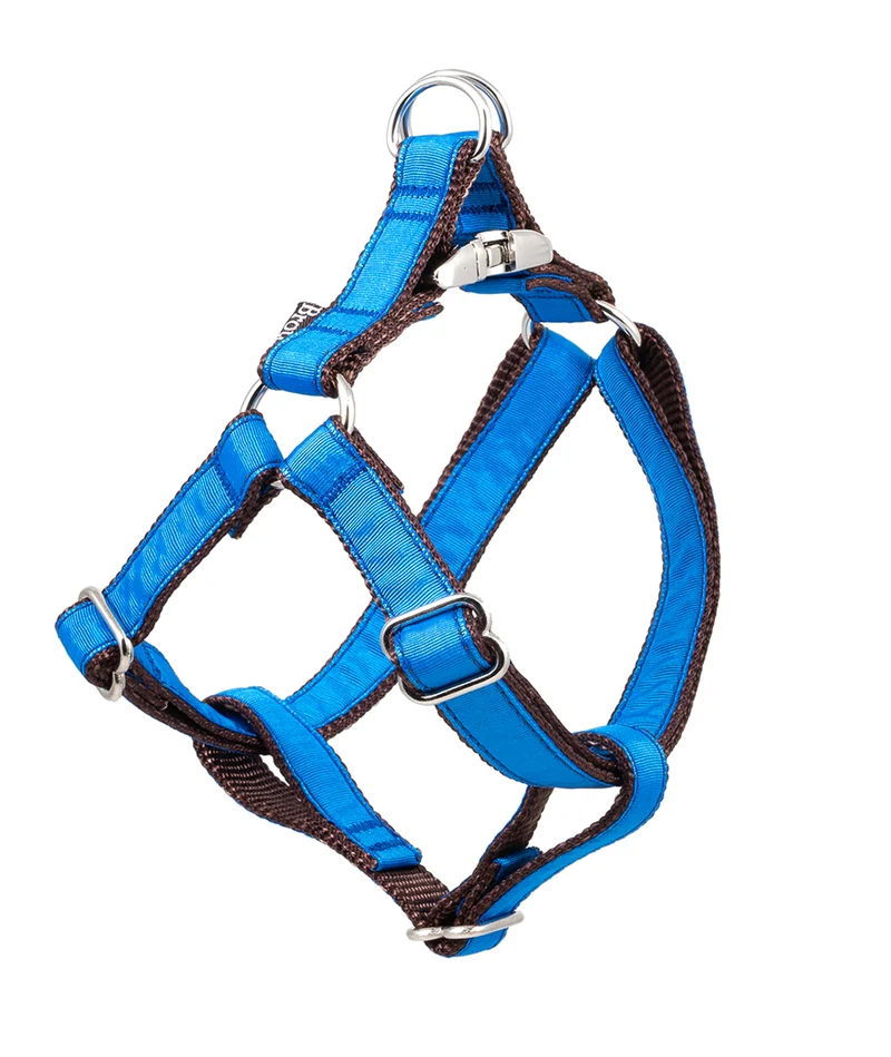 Arnés petral para perro Solid Electric Blue