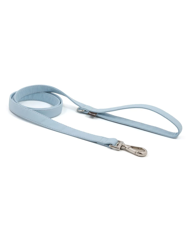 Correa perro Essence Blue Sky silver