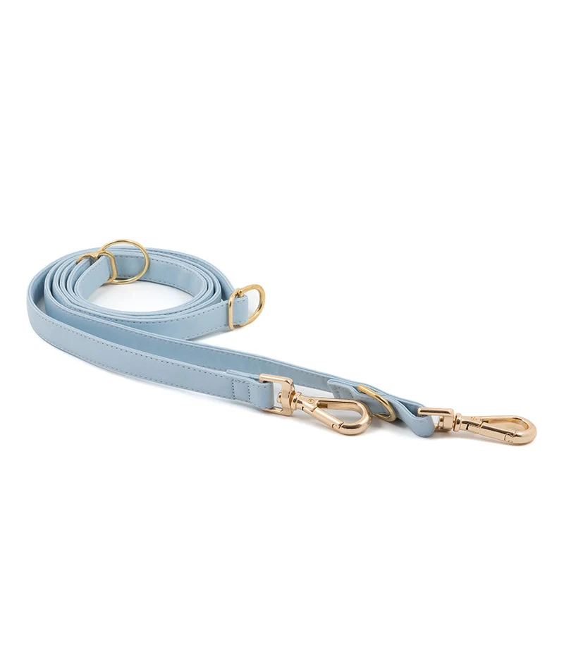 Correa perro Essence Blue Sky gold