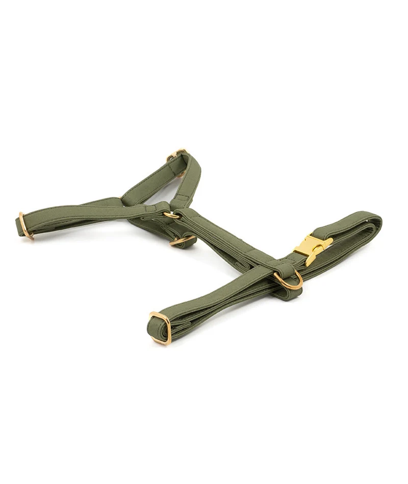 Arnés perro Essence Green Musk gold