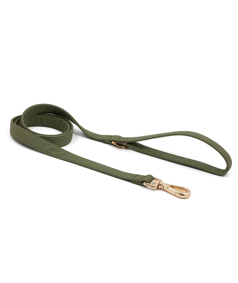 Correa perro Essence Green Musk gold