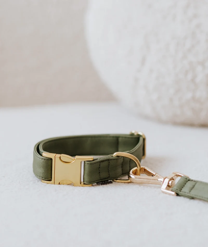 Collar perro Essence Green Musk gold