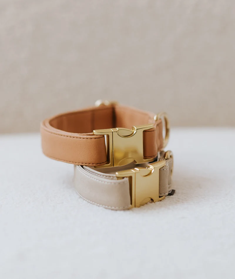 Collar perro Essence Camel gold
