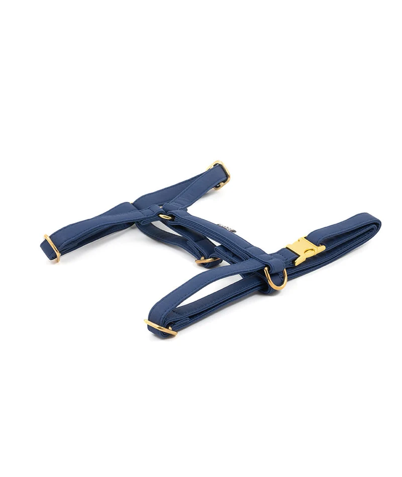 Arnés perro Essence Space Blue gold