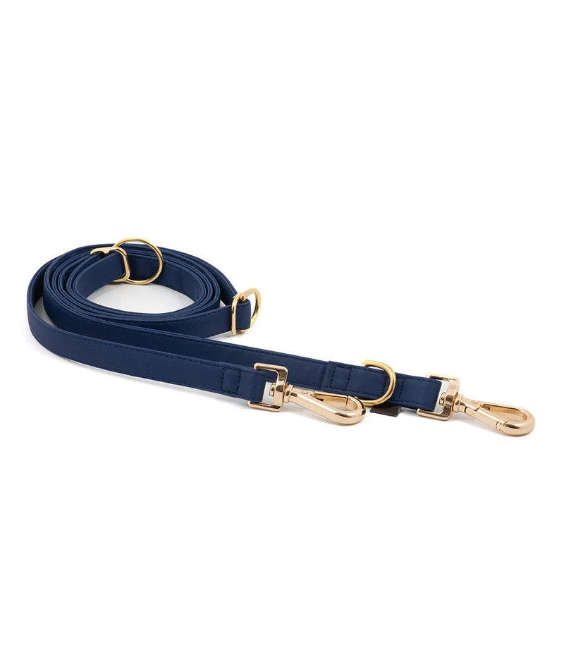 Correa perro Essence Space Blue gold