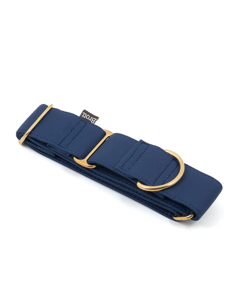 Collar Galgo Essence Space Blue gold