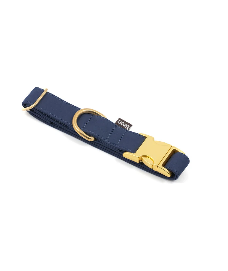 Collar perro Essence Space Blue gold