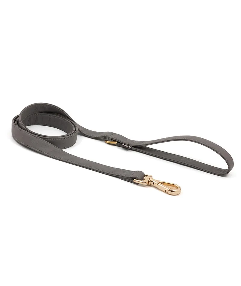 Correa perro Essence Grey gold