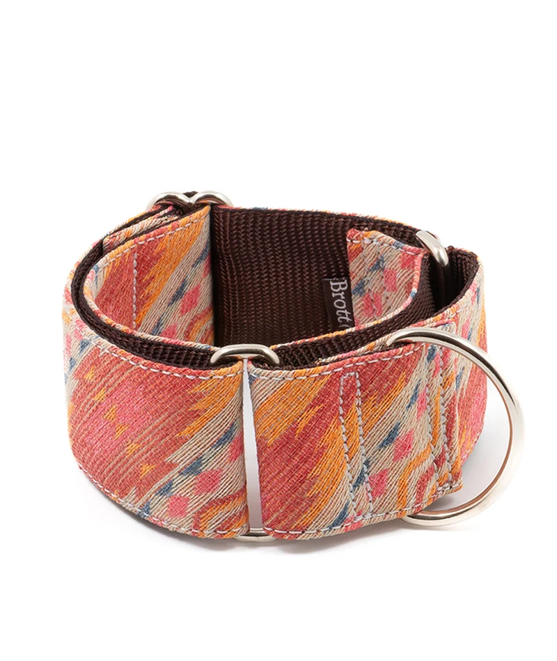 Collar para Galgo Tora