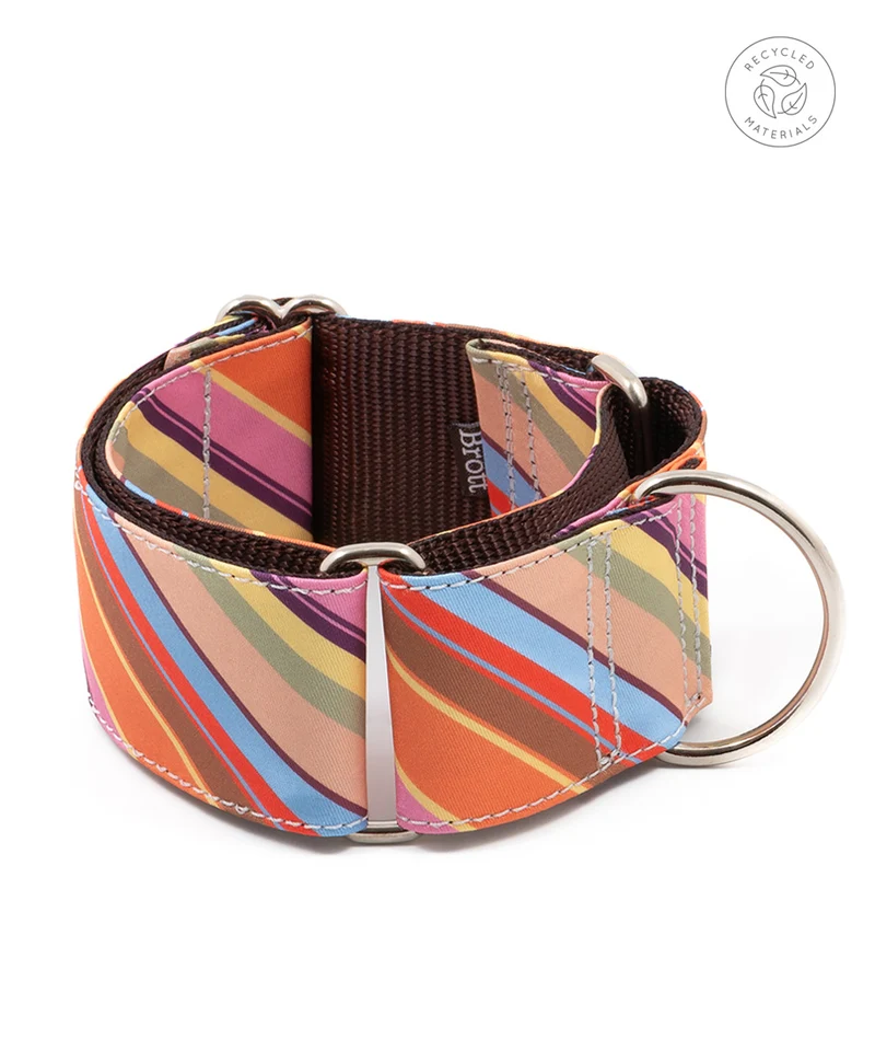 Collar para Galgo Alcanar