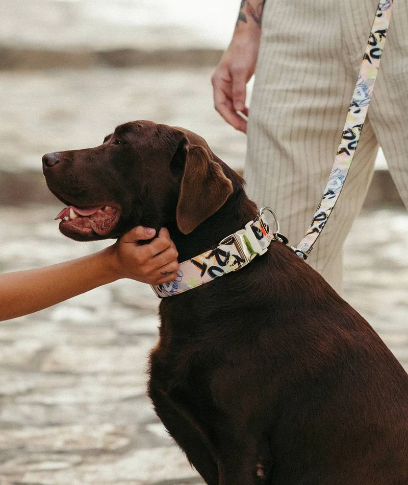 Correa para perro Penelles