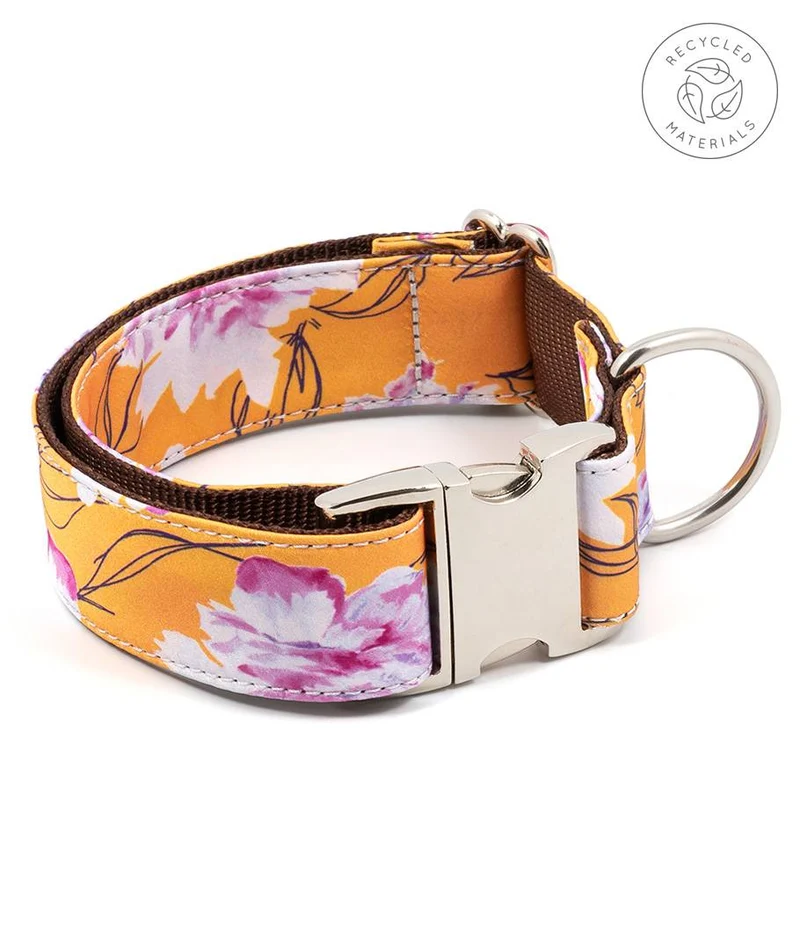 Collar para perro Teia