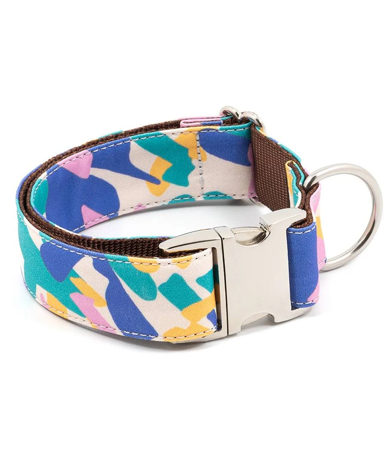 Collar para perro Montroig