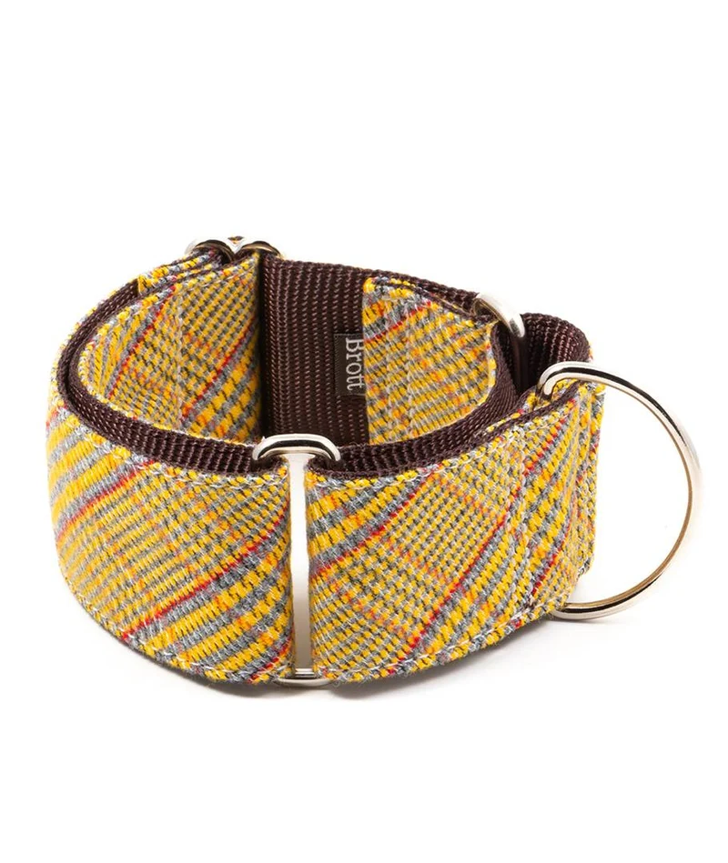 Collar para Galgo Salardu