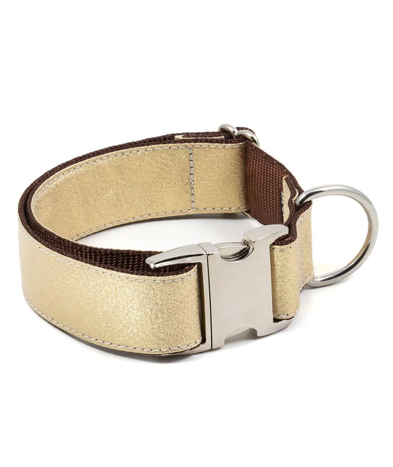 Collar para perro Sadurni