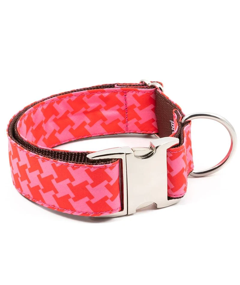 Collar para perro Miralles