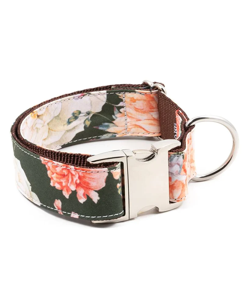 Collar para perro Espelt