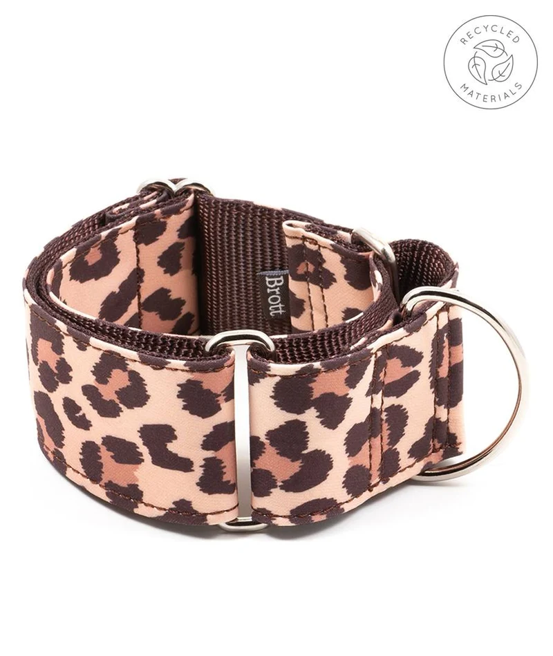 Collar para Galgo Copons