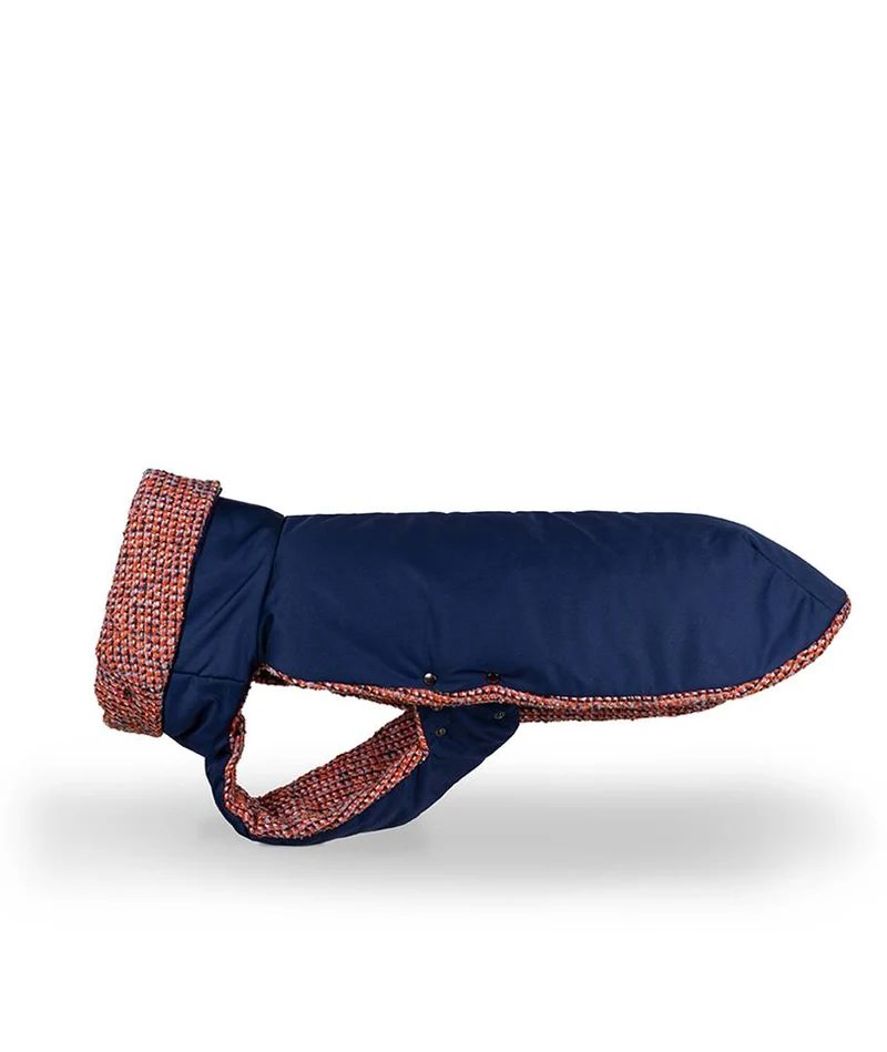 Abrigo de Invierno para Galgo Blue & Martinet