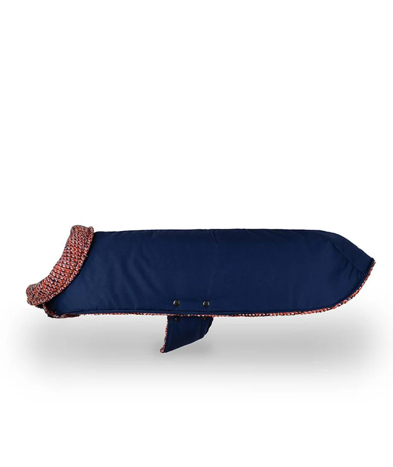 Abrigo para Galgo Blue & Martinet
