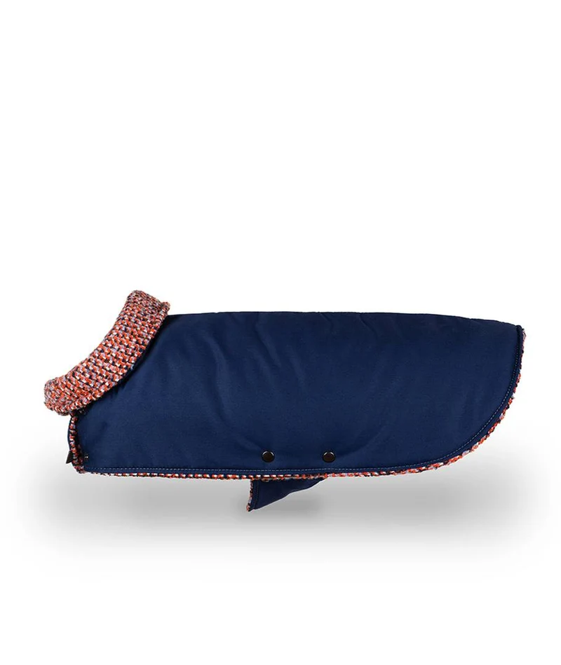 Abrigo para perro Blue & Martinet