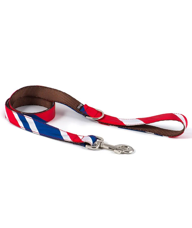 Correa para perro Beleser