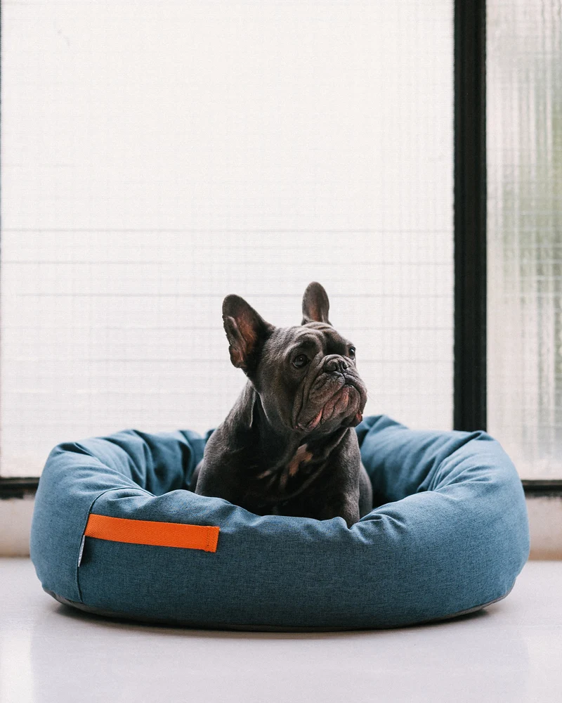 Cama redonda para perro azul intenso