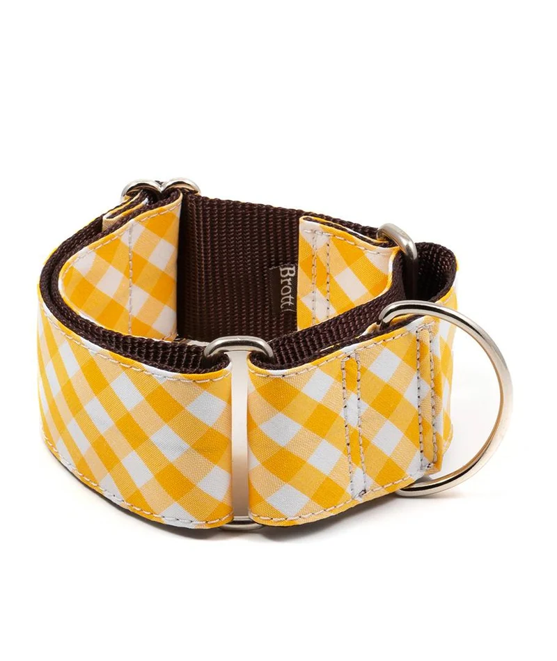 Collar para Galgo Olivella