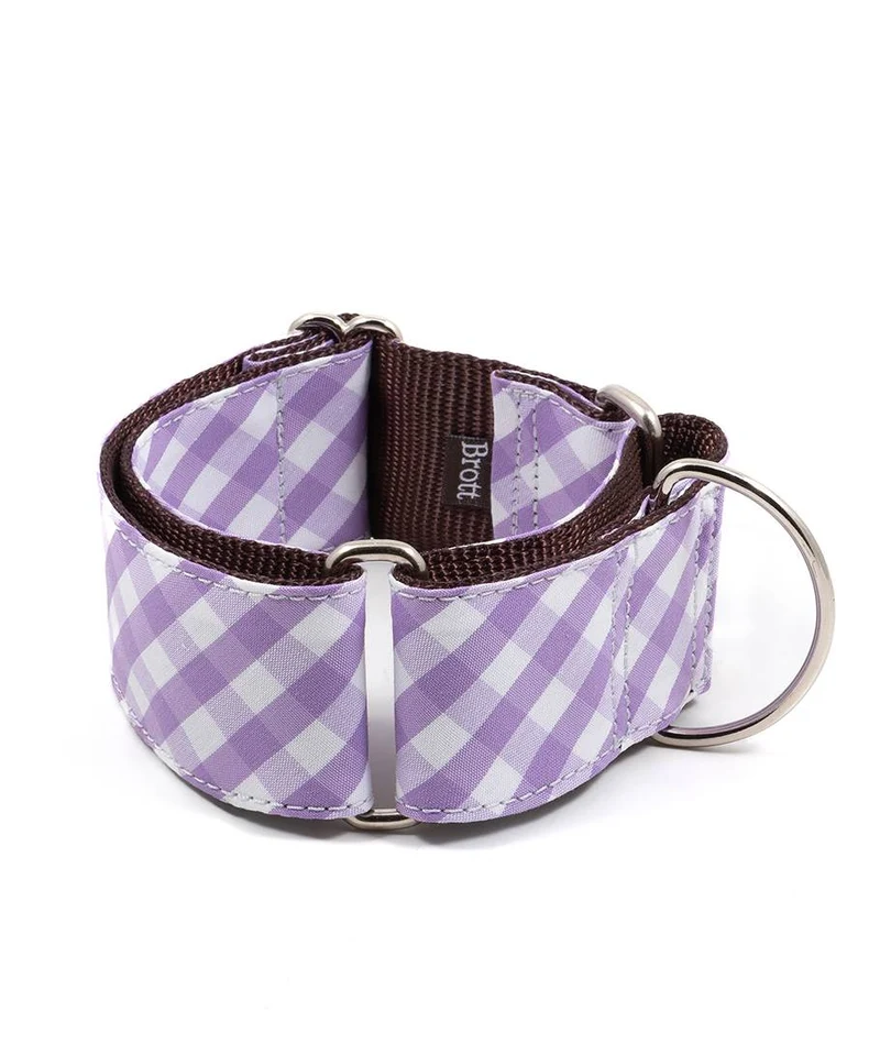Collar para Galgo Aitona