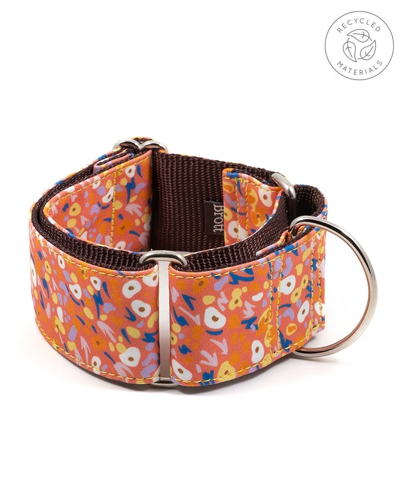 Collar para Galgo Miravet