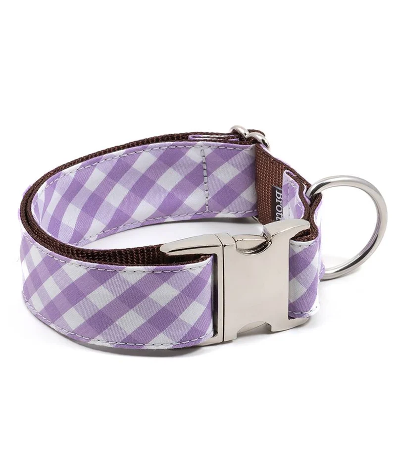 Collar para perro Aitona